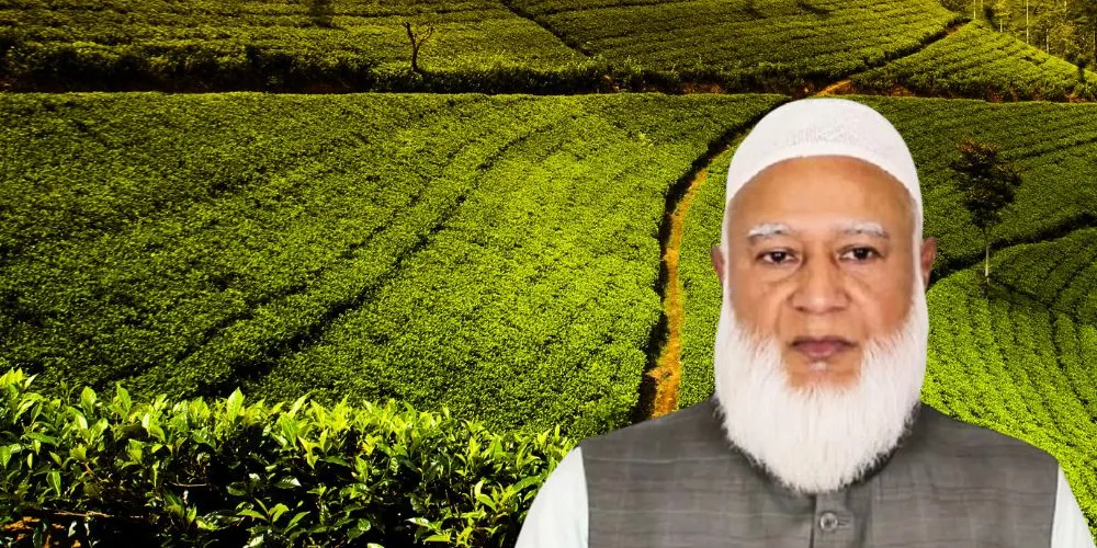 চা-শ্রমিকদের উন্নয়ন ও সুষ্ঠু নির্বাচন নিয়ে জামায়াত আমিরের বক্তব্য