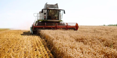 Technology in Agriculture