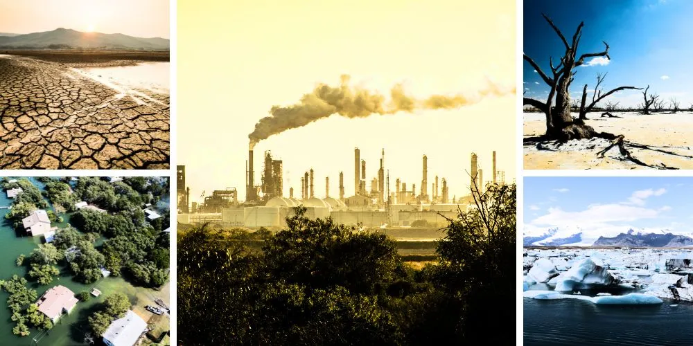 Our Planet's Fever: Confronting the Uncomfortable Truth of Climate Change