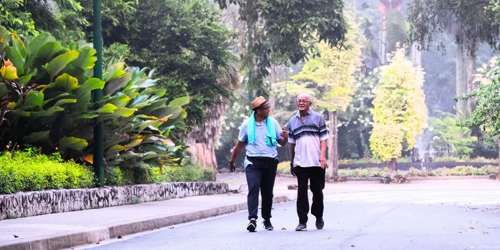 daily walk for your body and mind